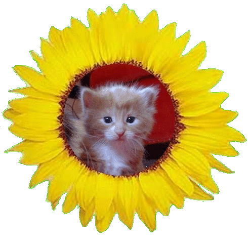 Unser kleiner Sonnenschein