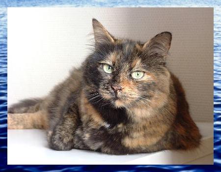 Zu Candy's Fotogalerie