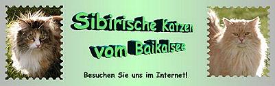 Cattery "vom Baikalsee"