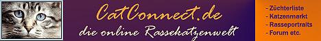 Z�chterliste und Katzenforum