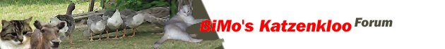 Sehr umfangreiches Katzenforum