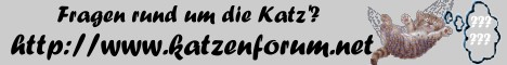 Nordsternchen's Katzenforum
