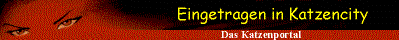 Katzenportal