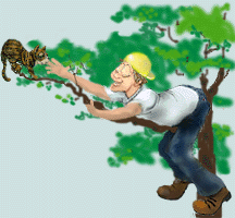 bilder002.gif (45440 Byte)