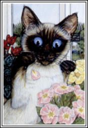 bilder004.gif (34650 Byte)