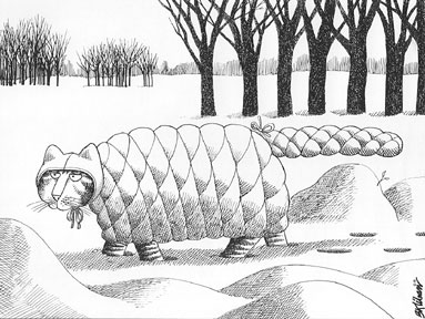 bilder005.jpg (38760 Byte)