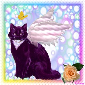 bilder006.jpg (26016 Byte)