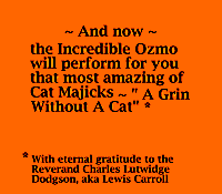 bilder011.gif (39119 Byte)