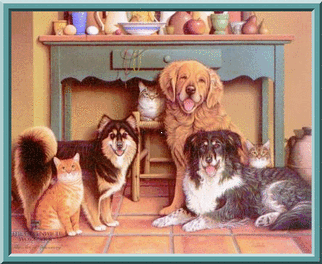 bilder012.gif (62841 Byte)