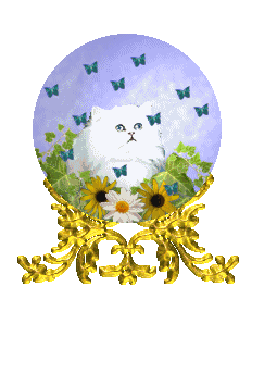 bilder019.gif (40658 Byte)