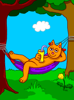 bilder022.gif (28756 Byte)