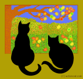 bilder024.gif (17854 Byte)