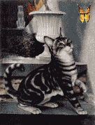 bilder028.gif (37212 Byte)