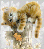 bilder034.gif (38130 Byte)