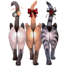 bilder045.gif (48617 Byte)