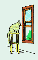 bilder055.gif (17080 Byte)