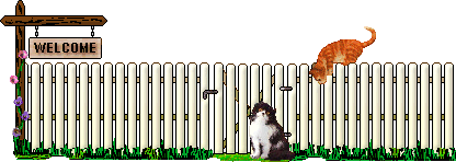 button030.gif (13935 Byte)