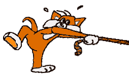 button031.gif (34601 Byte)