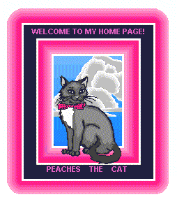 button058.gif (35011 Byte)