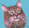 button071.gif (39219 Byte)