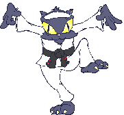 catcoat019.gif (5280 Byte)