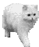 chinchilla006.gif (8610 Byte)