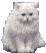 chinchilla010.gif (9454 Byte)