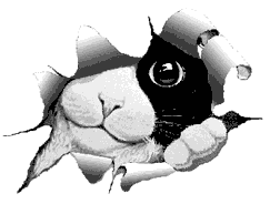 comic002.gif (6702 Byte)