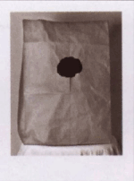 comic004.gif (15005 Byte)