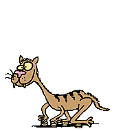 crazy001.gif (13108 Byte)