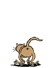 crazy002.gif (10216 Byte)