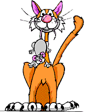 crazy006.gif (15155 Byte)