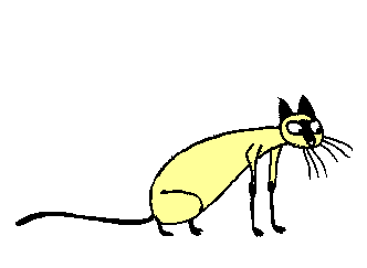 crazy014.gif (58152 Byte)