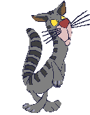 crazy018.gif (4564 Byte)