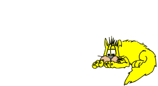 crazy028.gif (11617 Byte)