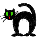 crazy034.gif (9175 Byte)