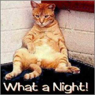 foto003.jpg (16520 Byte)