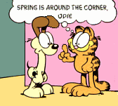 garfield022.gif (19637 Byte)