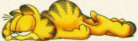 garfield028.gif (45085 Byte)