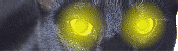 gesicht005.gif (10539 Byte)