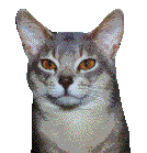 gesicht016.gif (9848 Byte)