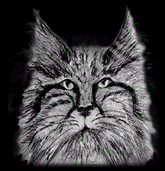 gesicht028.gif (75745 Byte)