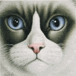 gesicht037.gif (14624 Byte)