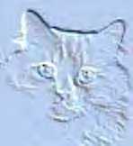 hintergrund003.jpg (3307 Byte)