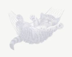 hintergrund004.jpg (3364 Byte)