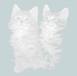 hintergrund005.jpg (2463 Byte)