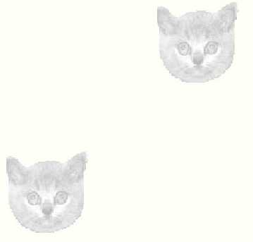 hintergrund007.jpg (4474 Byte)