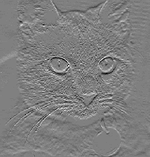 katzeblink.gif (19668 Byte)