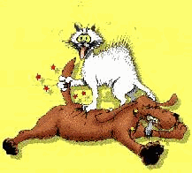 hundkatze004.gif (29936 Byte)