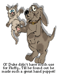 hundkatze006.gif (52506 Byte)